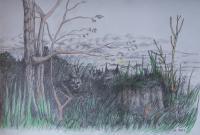 Drawings - Grove - Color Pencil On Paper