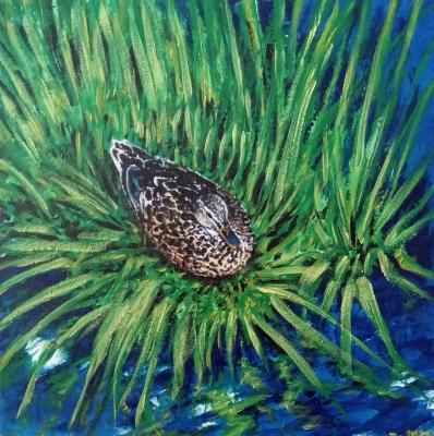 Acrylic Paintings - Mallard In The Grass - Acrylics