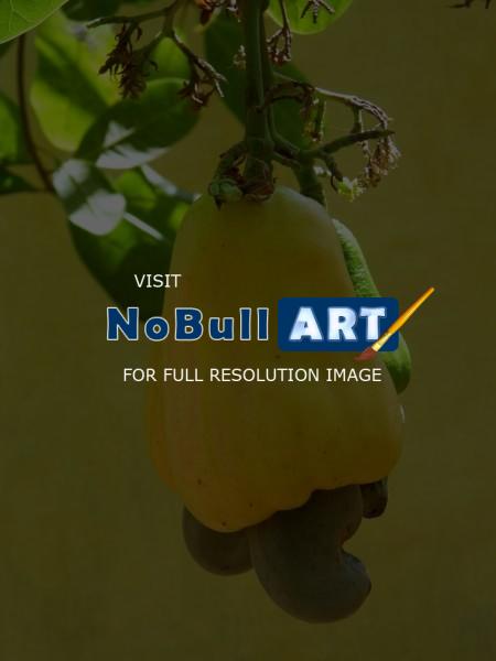 My Photos - Kaju Fruit - Digital