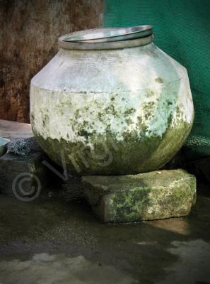 My Photos - Lota - Digital