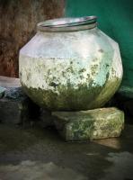 My Photos - Lota - Digital