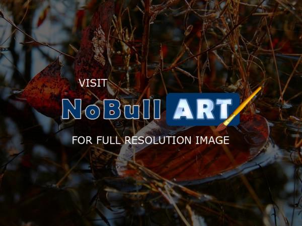 My Photos - Full Water - Digital