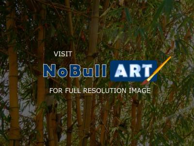 My Photos - Bambu - Effect Pop Art