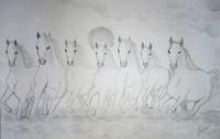 Pencil Art - Horse - Pencil Art