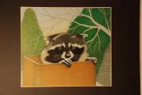 Raccoon  Squatter - Colored Pencil Drawings - By Martin Bucknarish, Rendering Drawing Artist