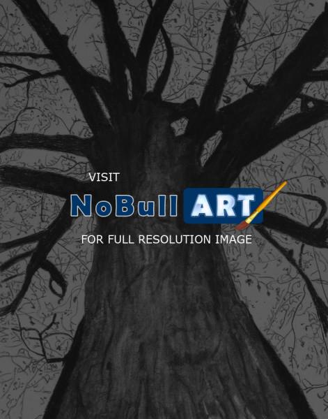 Miscellaneous - Tall Tree - Charcoal