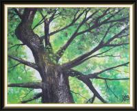 Landscapes - Tree - Acrylics
