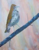 Landscapes - Wood Thrush - Acrylics