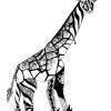 Giraffe - Pen And Ink Drawings - By Edra Zook, Whimsical Drawing Artist