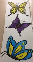Butterflies - Butterflies - Water Color