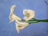 Paintings - Purity - Oil Painting