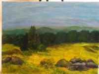 Landscapes - Plains - Acrylic