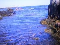 Ocean Photography - Mass Ocean - Camera