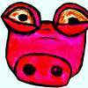 Pig - Prismacolor Drawings - By Sarah Rocha, Diva Drawing Artist