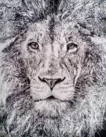 The Lion - Uni Pin Fine Line Drawing Pens Drawings - By Martin Day, Black And White Drawing Artist