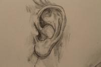Can You Hear Me Now - Graphite Drawings - By Cassi Fields, Simple Drawing Artist