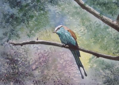 Birds - In The Canopy - Watercolor