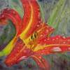 Daylily Reflections - Watercolor Paintings - By Gaylen Whiteman, Impressionistic Realism Painting Artist