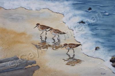 Seascape - Sandpiper Shuffle - Watercolor