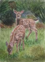 Double Trouble - Watercolor Paintings - By Gaylen Whiteman, Representational Painting Artist