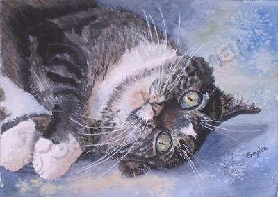 Animals - Xena - Watercolor