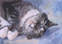 Xena - Watercolor Paintings - By Gaylen Whiteman, Impressionistic Realism Painting Artist