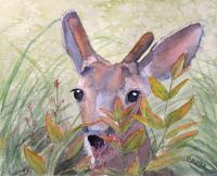 Animals - Surprise - Watercolor