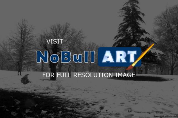 Under Snow Ball - Photography - D3100