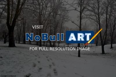Under Snow Ball - Untitled - D3100