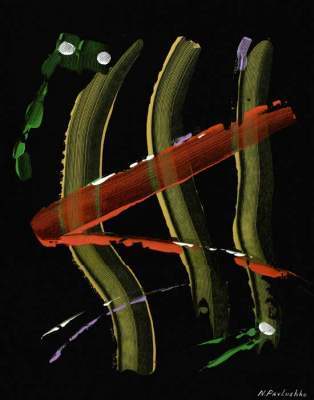 Abstract Art - Bigwig - Acrylic On Black Paper