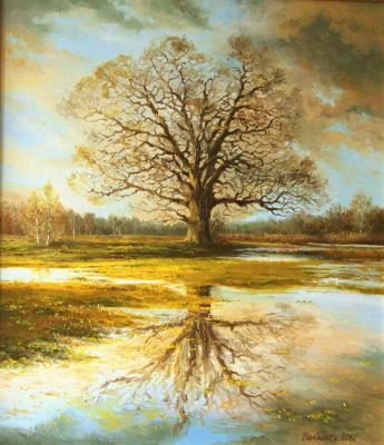 Main Painting - Oak - Oil On Canvas