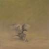 The Hunter - Acrylic Paintings - By Kevin Carr, Wildlife Nature Painting Artist