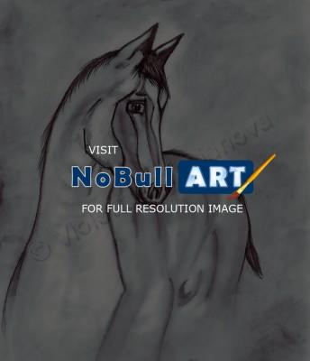 Drawing Collection - Horse - Pencil And Paper