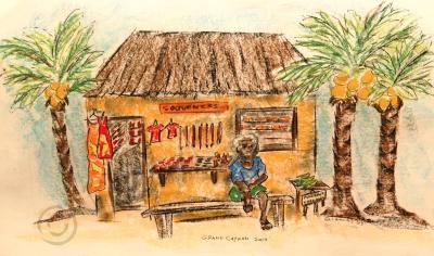 Crusin The Gulf - Cayman Vendor - Pastels