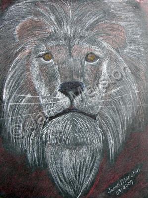 Wildlife Art - Lion Portrait Painting - Mixed Media