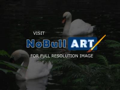 Nature - The Swans - Digital