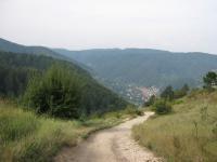 Mountain Road - Digital Photography - By Irina Belinschi, Nature Photography Artist