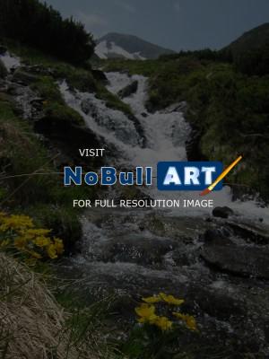 Nature - Creek - Digital