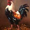 Rooster - The Master Of The Yard - Oil Paintings - By S   O L   D, Realism Painting Artist