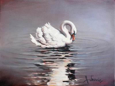 Gallery I - Swan - Oil