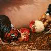 Cockfight - Male Conversation - Oil Paintings - By S   O L   D, Realism Painting Artist
