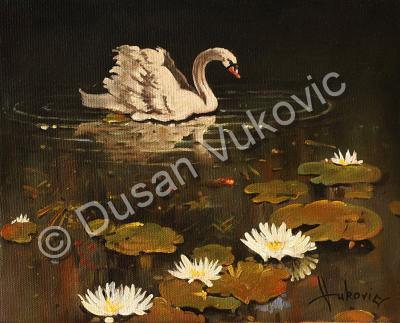 Gallery I - Lonely Swan - Oil