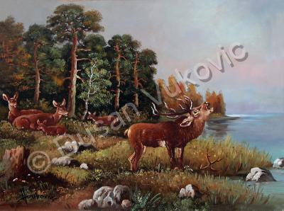 Gallery I - Young Deer Beside A Lake - Oil