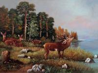 Young Deer Beside A Lake - Oil Paintings - By S   O L   D, Realism Painting Artist