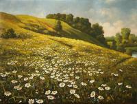 Gallery I - Daisies - Oil