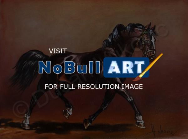Gallery I - Stallion - Oil