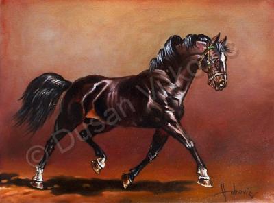 Gallery I - Stallion - Oil