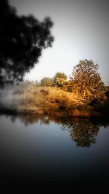 Nature - Desolate Winter Morning - Photography