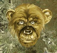 Monkey Head - Canvas Paintings - By Daniel Dentchev, Digital Painting Artist