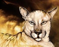 Cougar - Canvas Paintings - By Daniel Dentchev, Digital Painting Artist